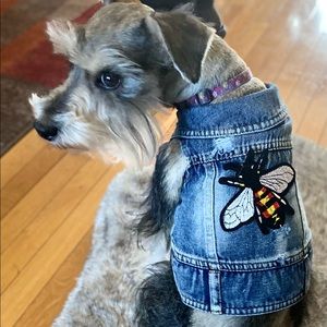 Cute Jean jacket new